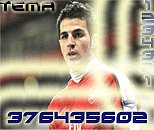 tema1234321